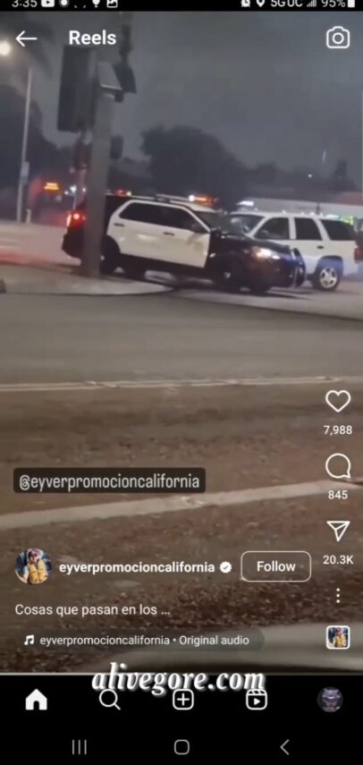 The Criminal Paid With His Life For The Robbery