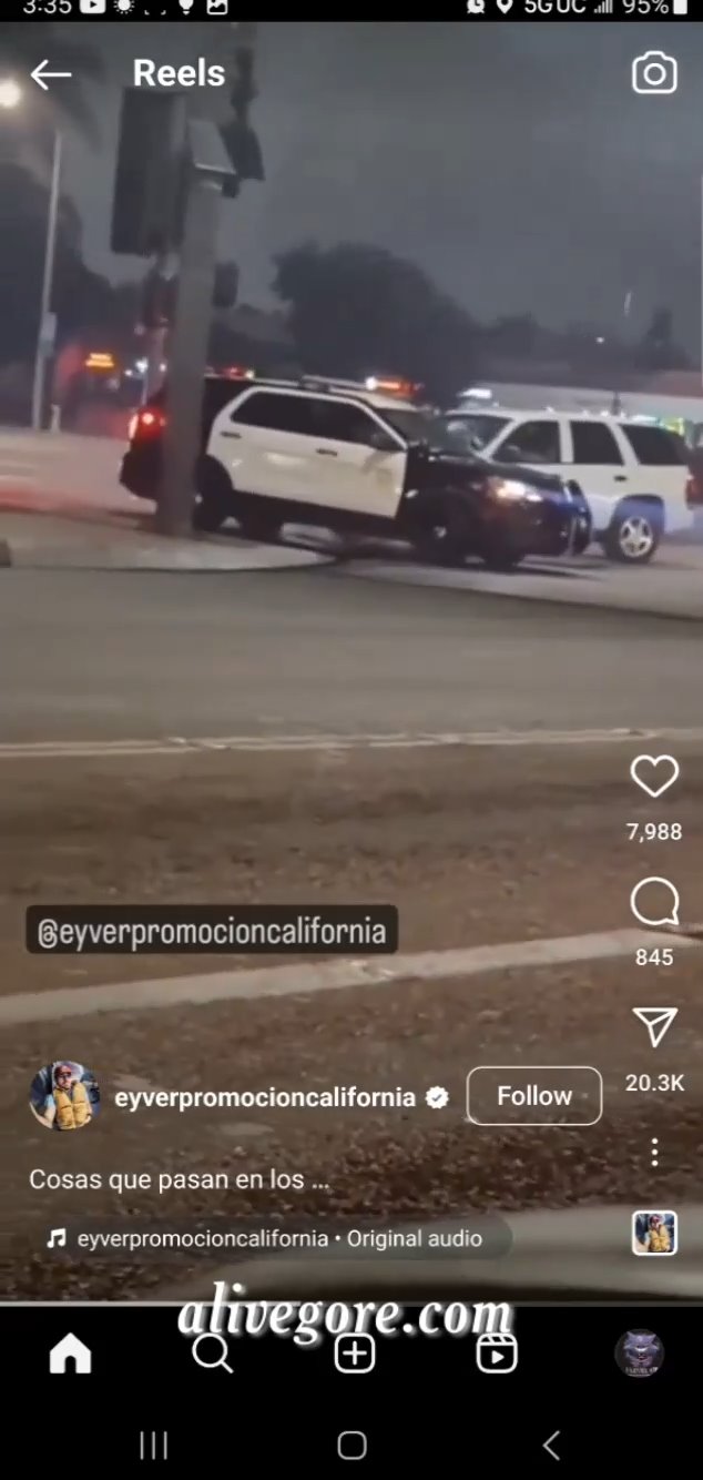 The Criminal Paid With His Life For The Robbery