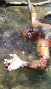 Charred Body Of Murdered Drug Dealer Found In River 1 Charred Body Of Murdered Drug Dealer Found In River