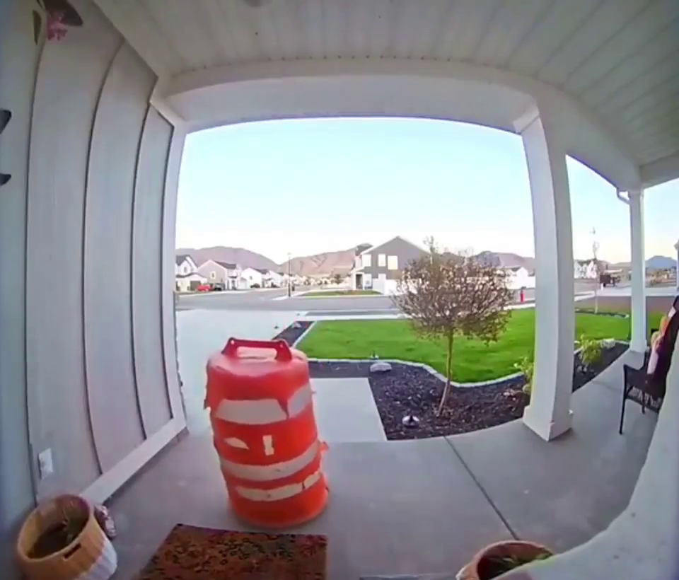 😎 Perfect Disguise For Theft. USA