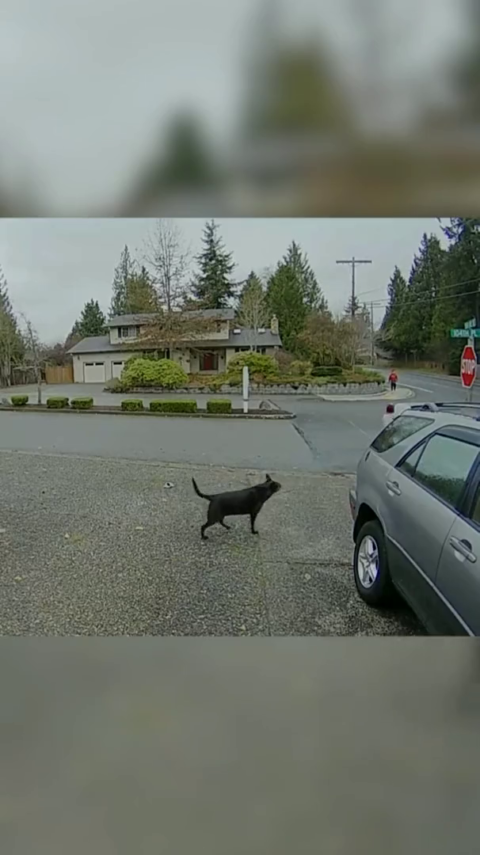 Woman Gets Caught Stealing Amazon Package