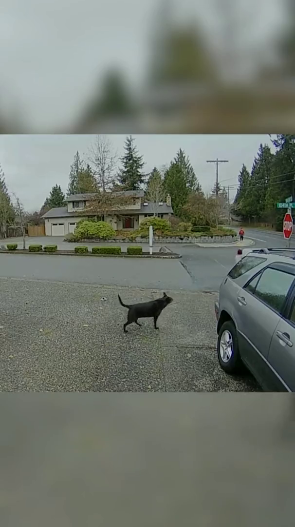 Woman Gets Caught Stealing Amazon Package