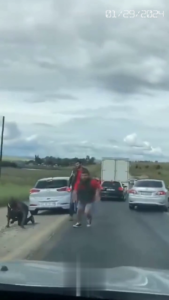 The Driver Accidentally Witnessed The Beating Of A Man By A Gang Of Bikers