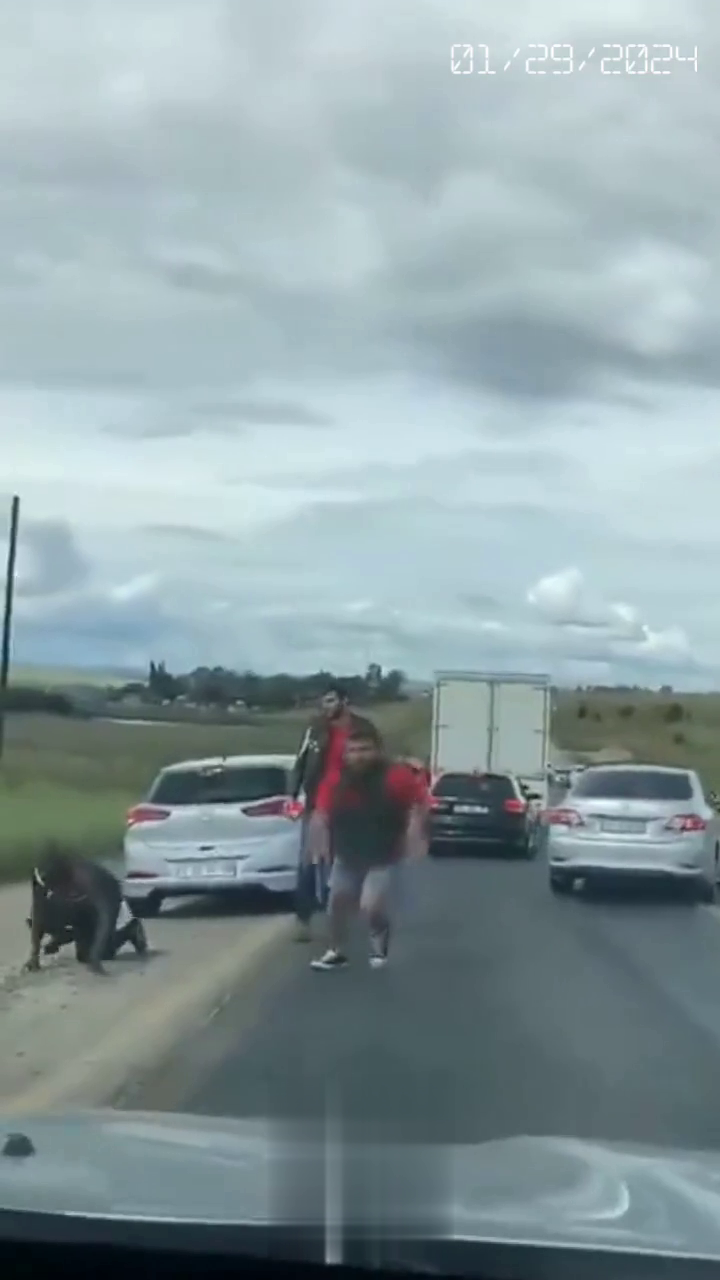 The Driver Accidentally Witnessed The Beating Of A Man By A Gang Of Bikers