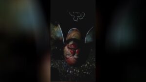 Thief penalized until his end of life 1 Thief penalized until his end of life