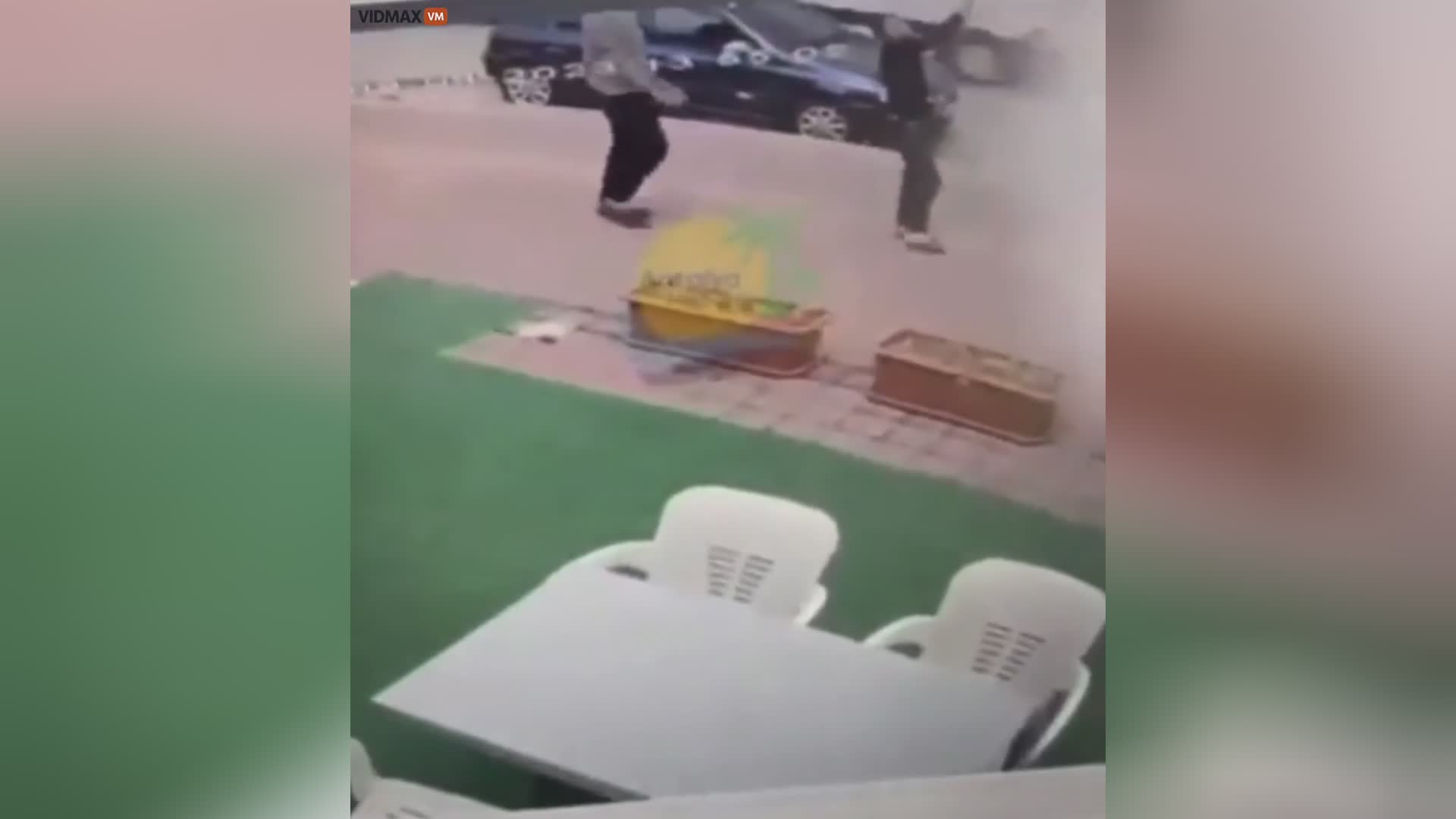 2 male trying to free a bird caught in a wire get electrocuted