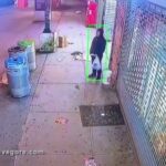 Man Arrested For Setting Nyc Bangladeshi Restaurant On Fire After It Botched His Order