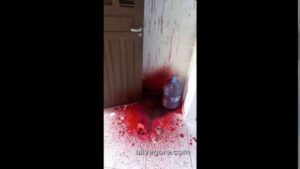 Dude Got Shot In The Head While Climbing Into Someone Else's House. Aftermath
