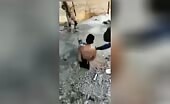 Soldiers burn two prisoners alive | 18+