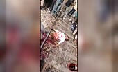 Man cut in half by train | 18+