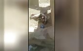 Syrian woman killed by machine gun | 18+