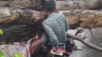 Crushed By Fallen Tree Motorcyclist Screams In Pain Next To Dead Friend | 18+